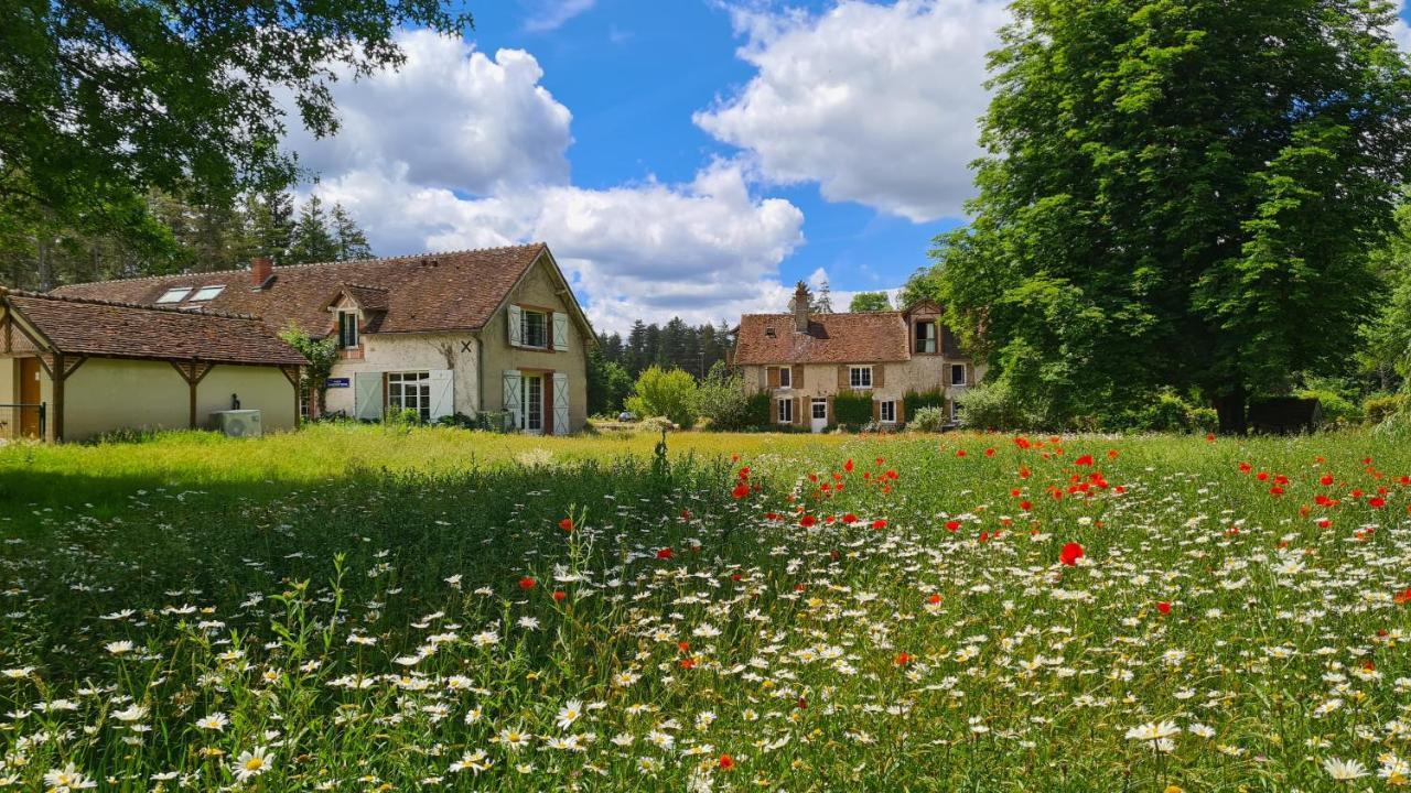 Chambres D'Hotes Le Moulin De Crouy Εξωτερικό φωτογραφία